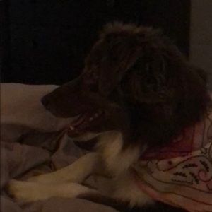 Meet your Posher, Ann